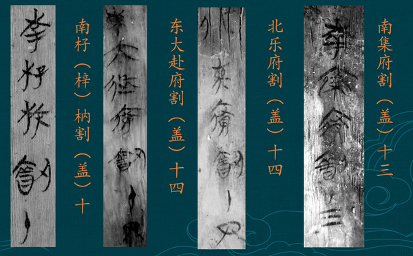 从武王墩的草木间，我们看到了什么